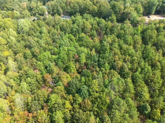 a view of a large yard with lots of green space