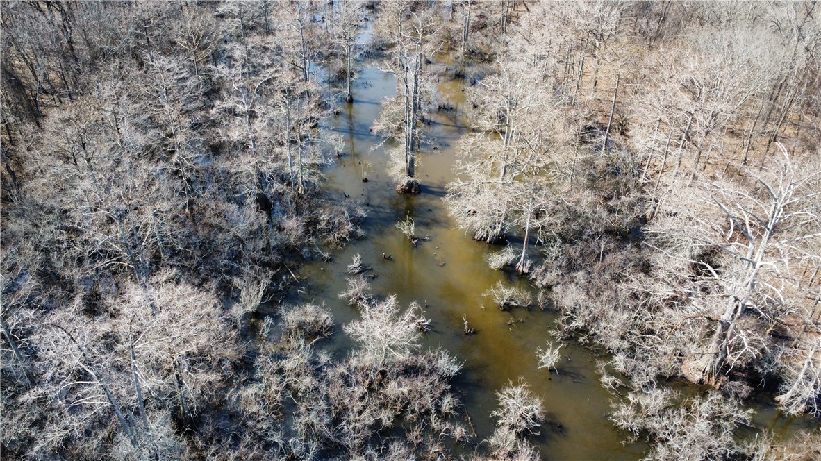 300 Highway 300 Road Roland, AR 72135 - Photo 22 of 28 Gallery Image 22