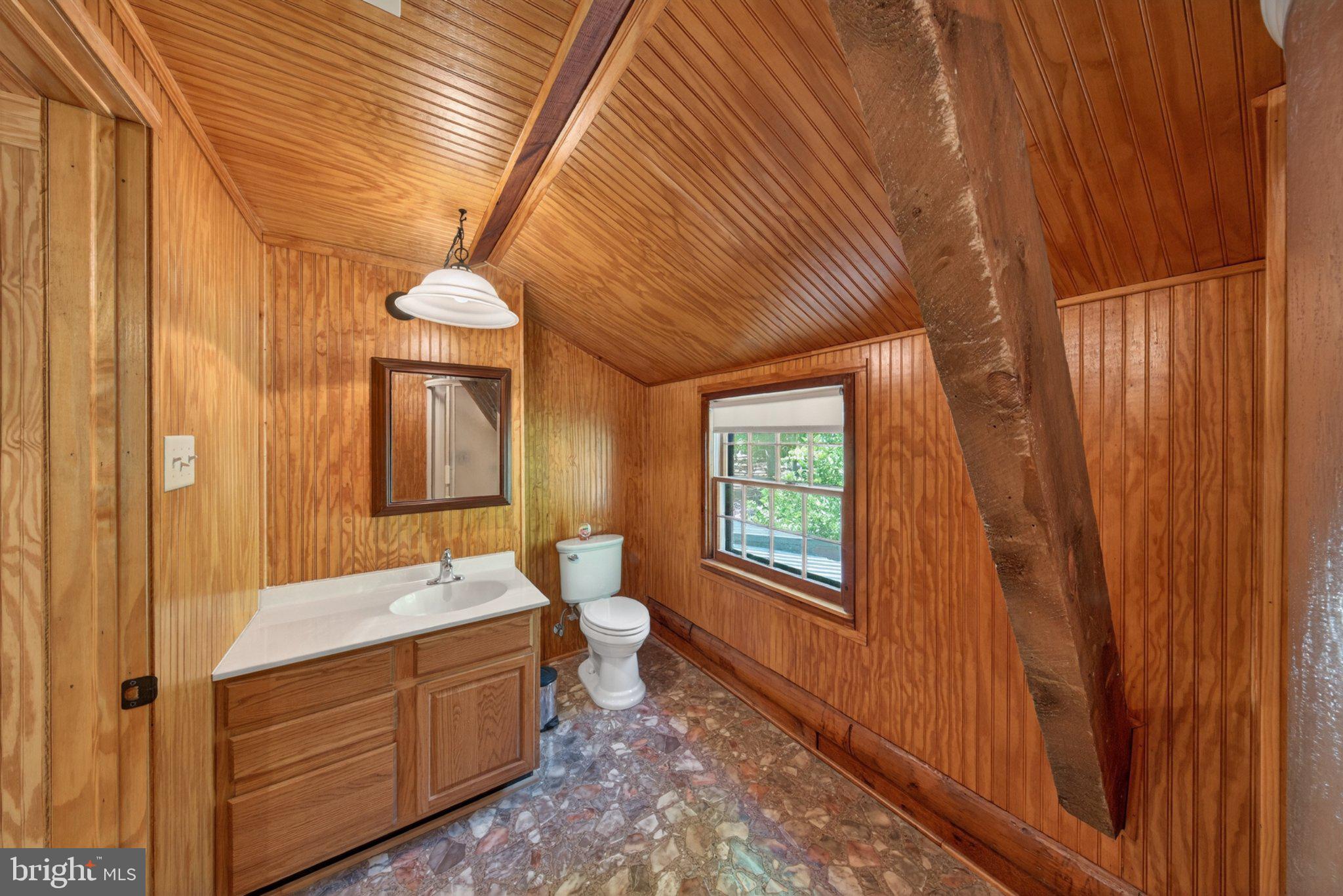 403 Union Church Road Townsend, DE 19734 - Photo 38 of 73 a bathroom with a sink a mirror and a toilet