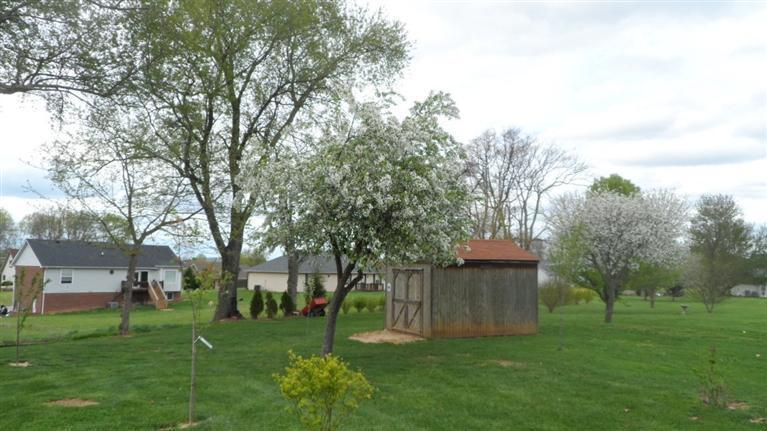 222 Ridgeview Drive Somerset, KY 42503 - Photo 49 of 51 Additional Photo