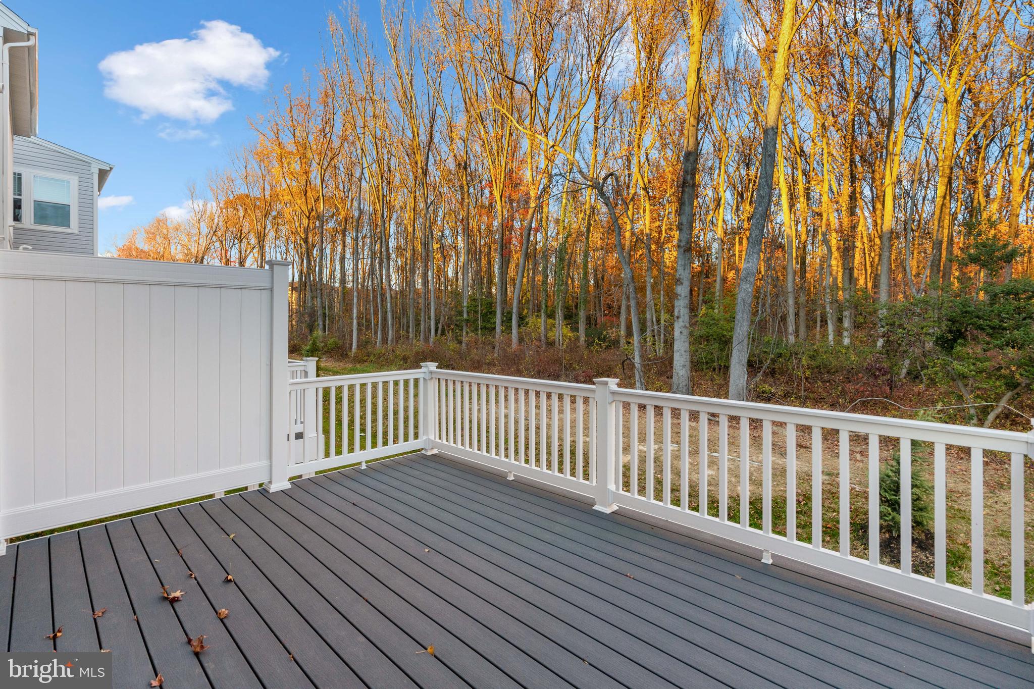 252 Waterstone Road Essex, MD 21221 - Photo 31 of 35 a balcony with wooden floor and fence