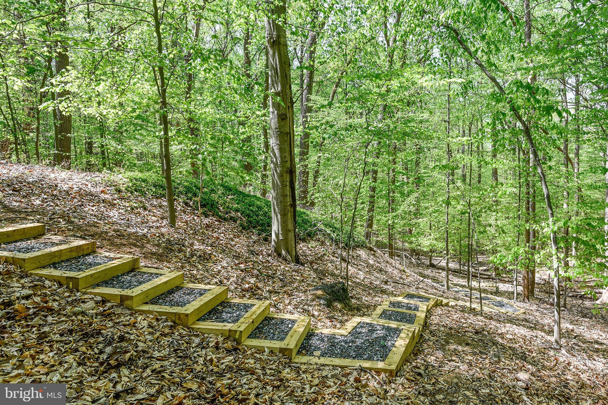 11109 Cripplegate Road Potomac, MD 20854 - Photo 26 of 31 a view of yard with green space