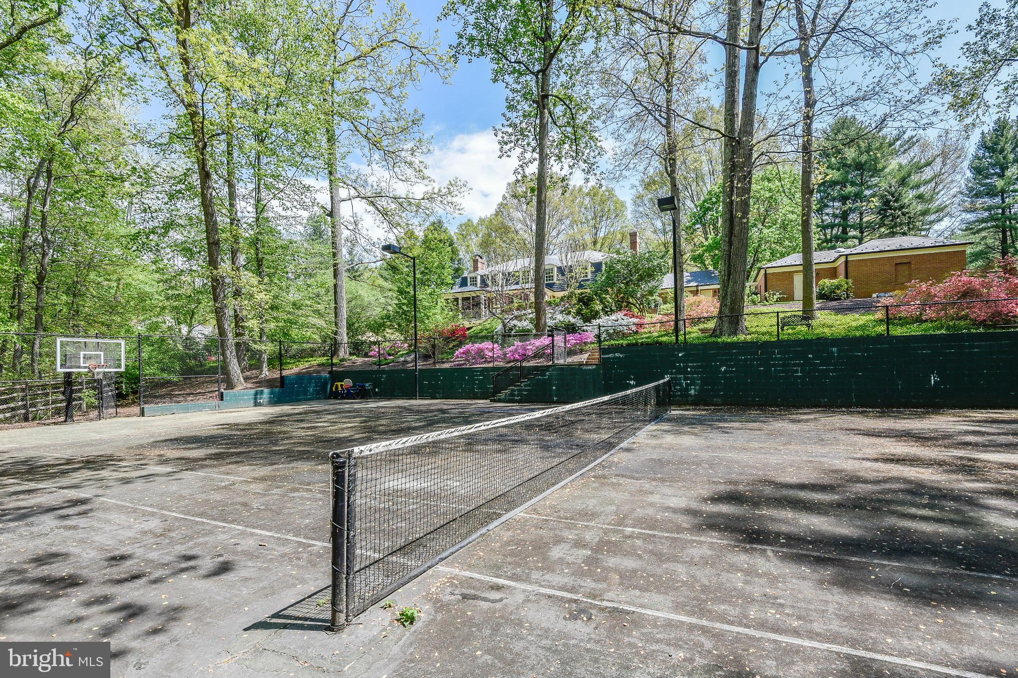 11109 Cripplegate Road Potomac, MD 20854 - Photo 27 of 31 a park view with potted plants and large trees