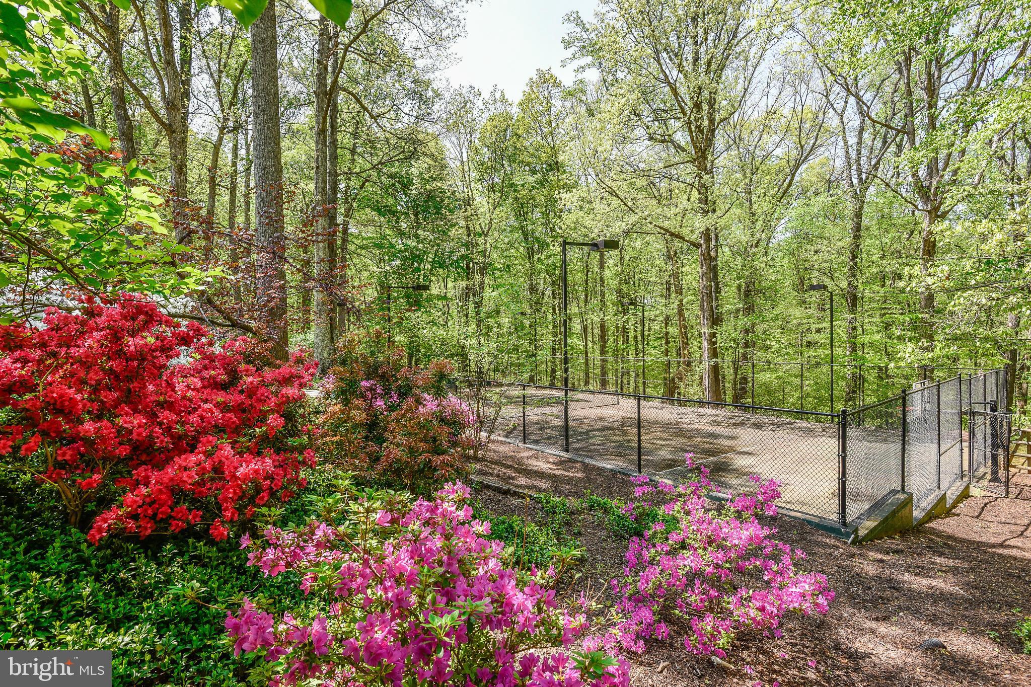 11109 Cripplegate Road Potomac, MD 20854 - Photo 28 of 31 a view of a backyard with flowers
