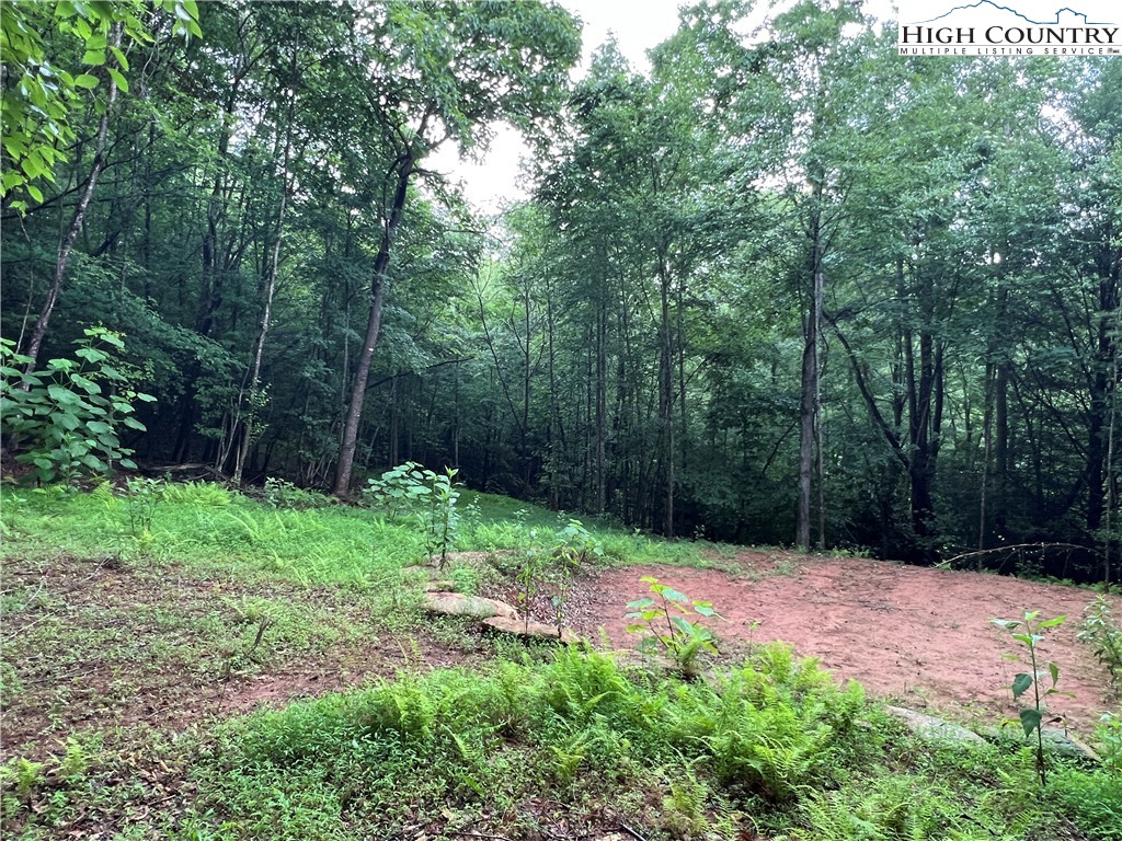 Staghorn Road Purlear, NC 28665 - Photo 17 of 50 a backyard of a house with lots of green space