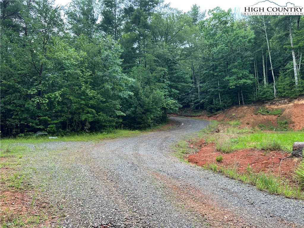 Staghorn Road Purlear, NC 28665 - Photo 21 of 50 a backyard of a house with lots of green space