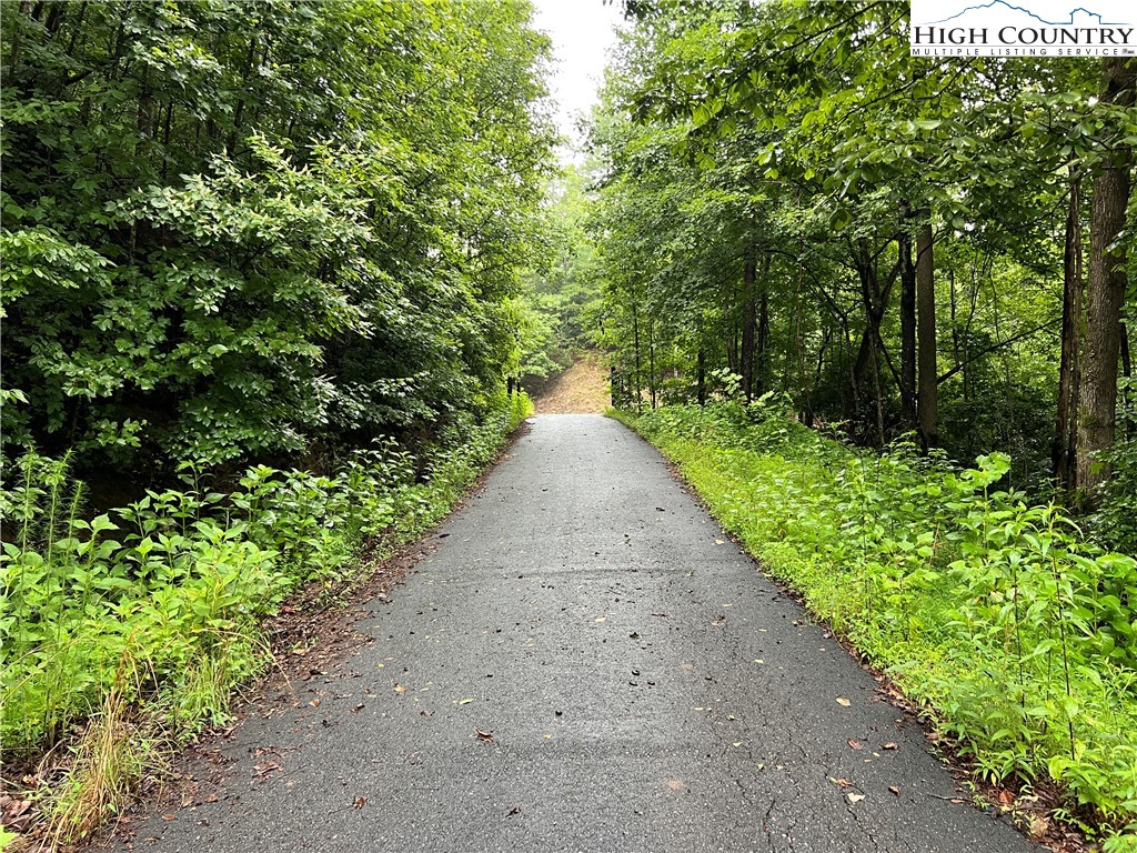 Staghorn Road Purlear, NC 28665 - Photo 29 of 50 a view of a pathway with a park