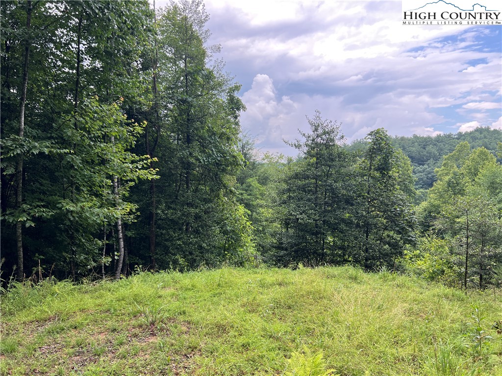 Staghorn Road Purlear, NC 28665 - Photo 6 of 50 a backyard of a house with lots of green space