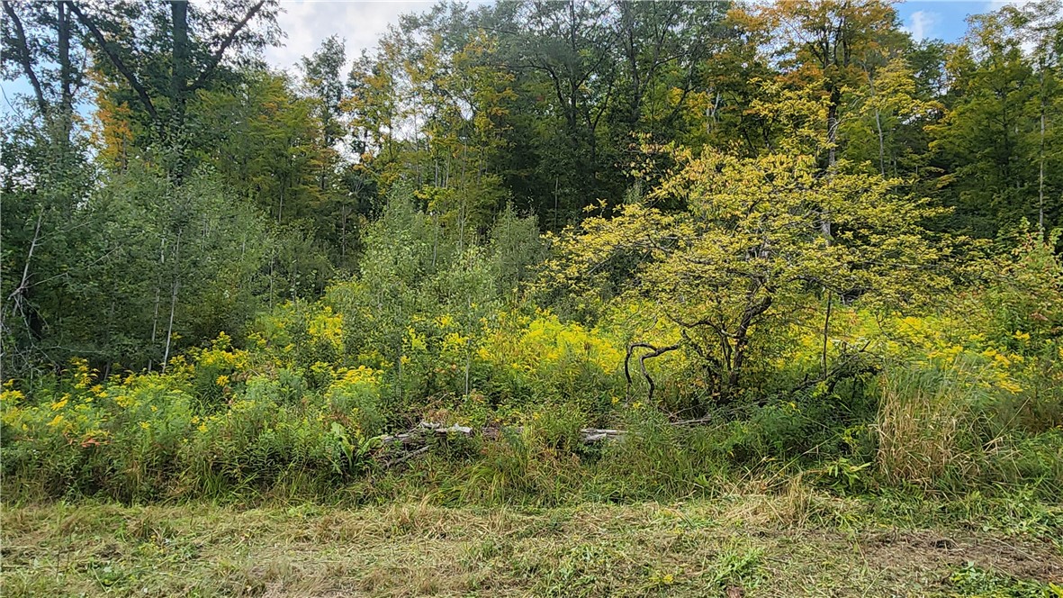 Humphrey Road Great Valley, NY 14741 - Photo 15 of 45