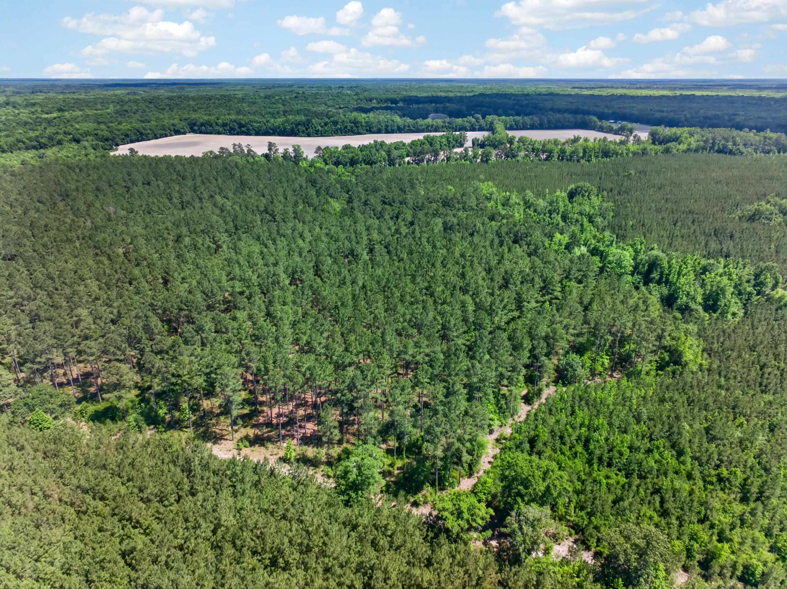 5120 North Brewington Road, Unit 10 Alcolu, SC 29001 - Photo 27 of 40 DJI_20260521140655_0093_D