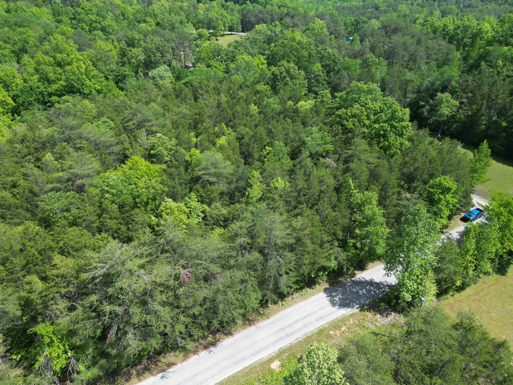 828 McCord Hollow Road Hohenwald, TN 38462 - Photo 32 of 35 a view of a forest that has a tree