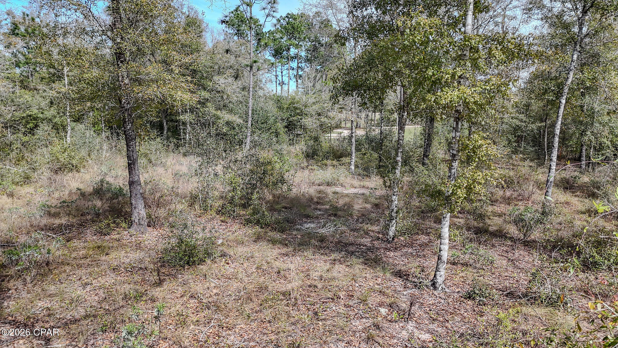 0 Westbrook Drive Chipley, FL 32428 - Photo 4 of 11