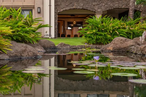 a view of a garden with a bench in the patio