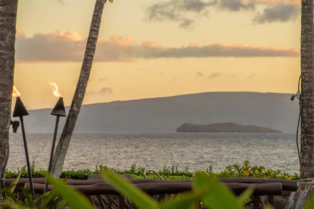 a room with furniture water view and a potted plant