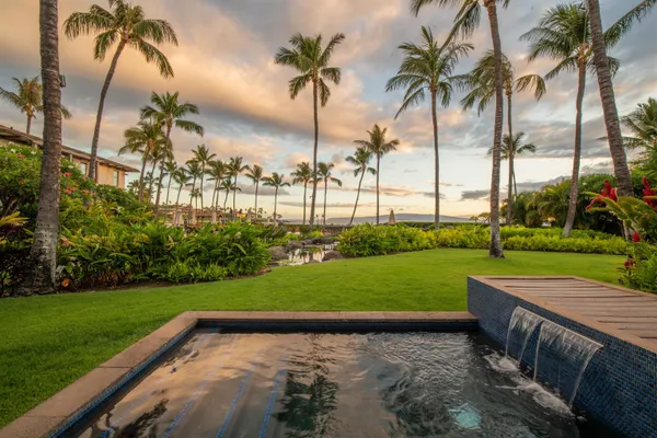 a view of a park with palm trees