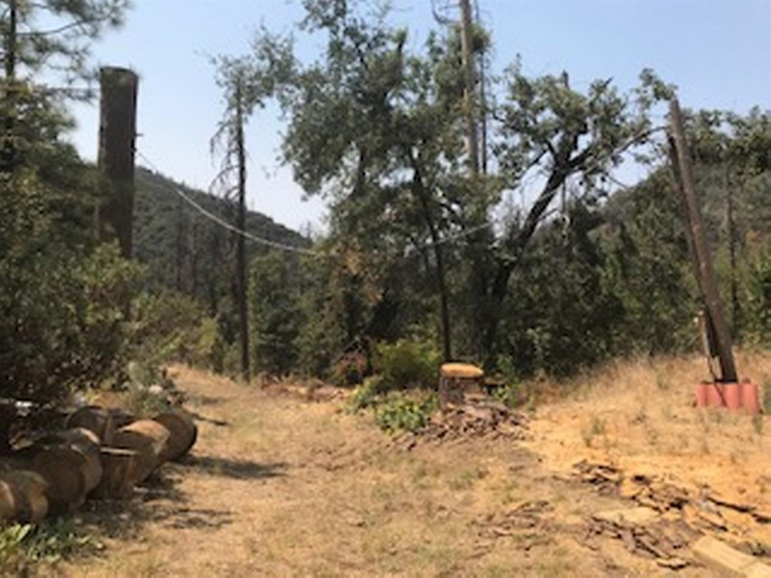 1750 Shany Creek Road Ahwahnee, CA 93601 - Photo 2 of 4 Gallery Image 2