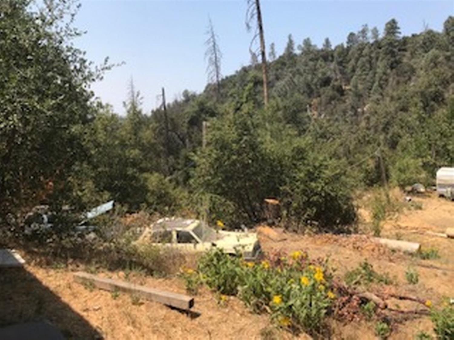 1750 Shany Creek Road Ahwahnee, CA 93601 - Photo 4 of 4 Gallery Image 4
