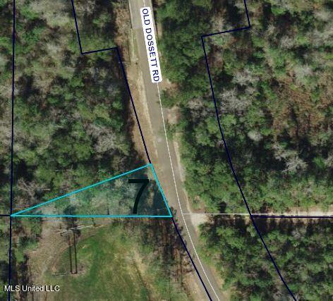 Old Dossett Road Picayune, MS 39466 - Photo 1 of 2 Arial View