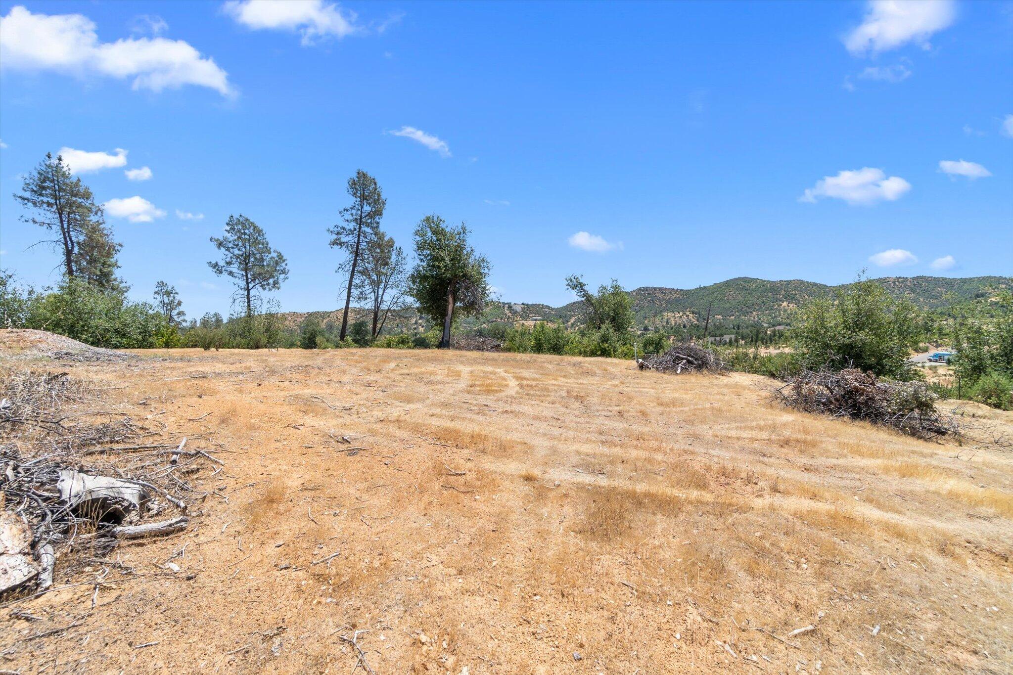 10000 Tilton Mine Road Redding, CA 96001 - Photo 12 of 19 a view of a yard with a house