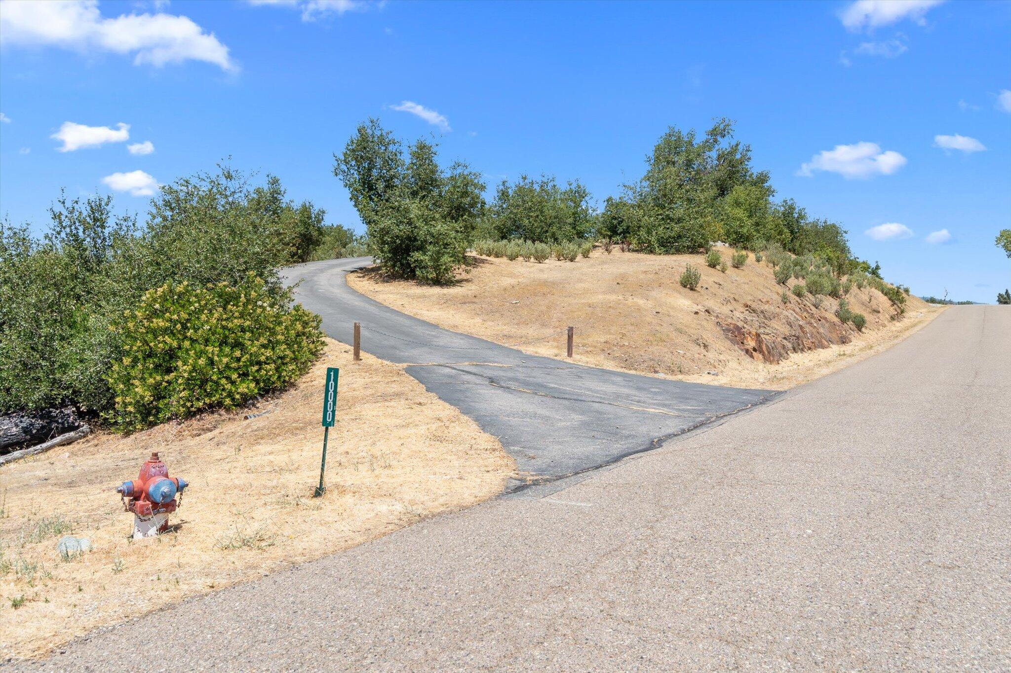 10000 Tilton Mine Road Redding, CA 96001 - Photo 3 of 19 a view of a dry yard with a tree