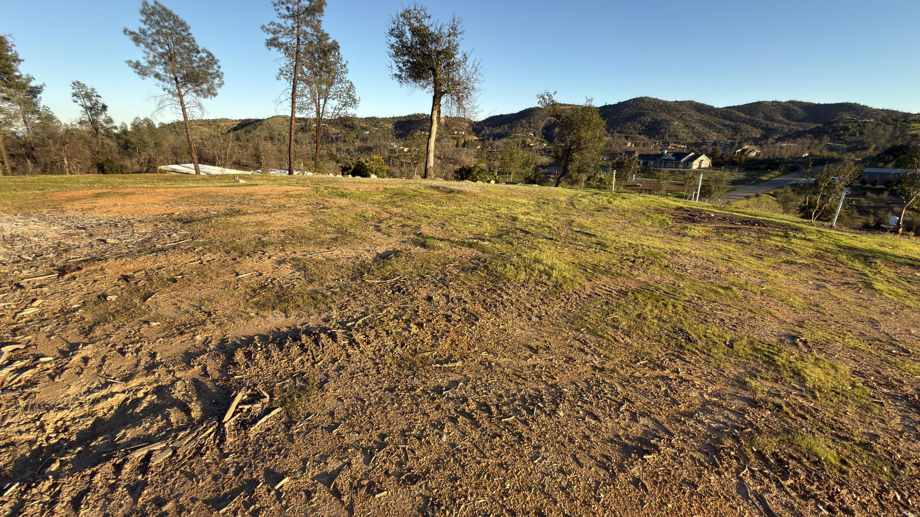 10000 Tilton Mine Road Redding, CA 96001 - Photo 8 of 34 a view of a yard with a house