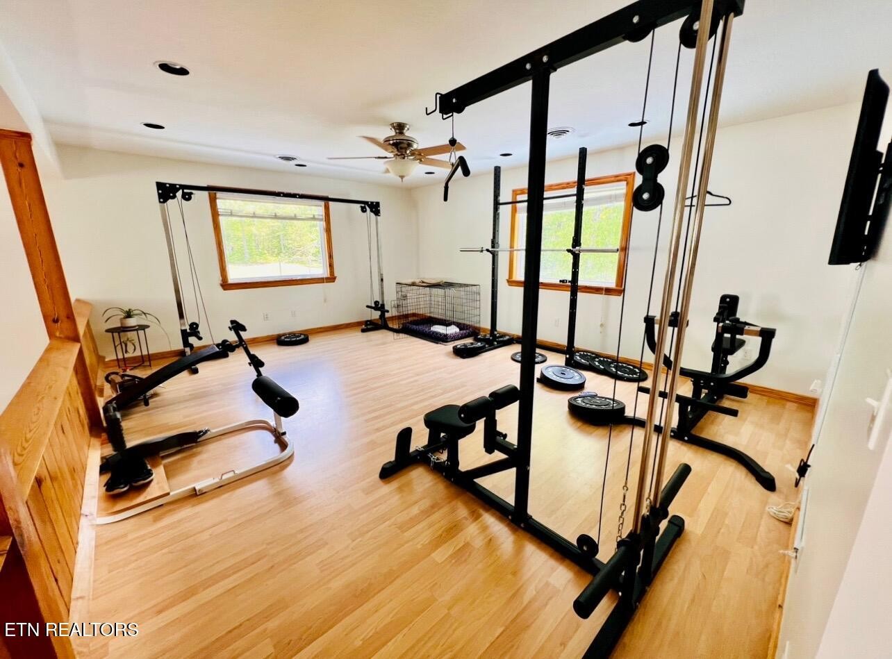 186 Perkins Trail Deer Lodge, TN 37726 - Photo 24 of 54 a view of a room with gym equipment