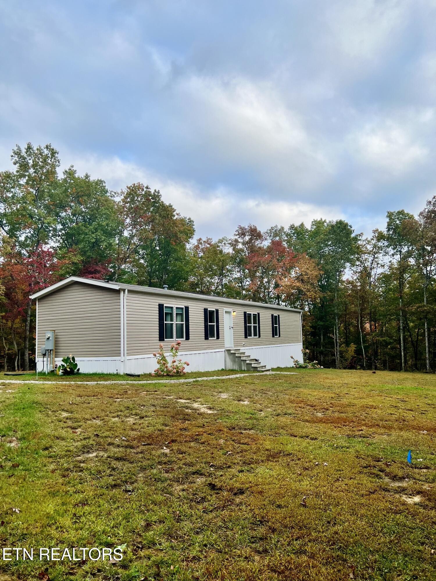 186 Perkins Trail Deer Lodge, TN 37726 - Photo 30 of 54 a view of a house with a yard