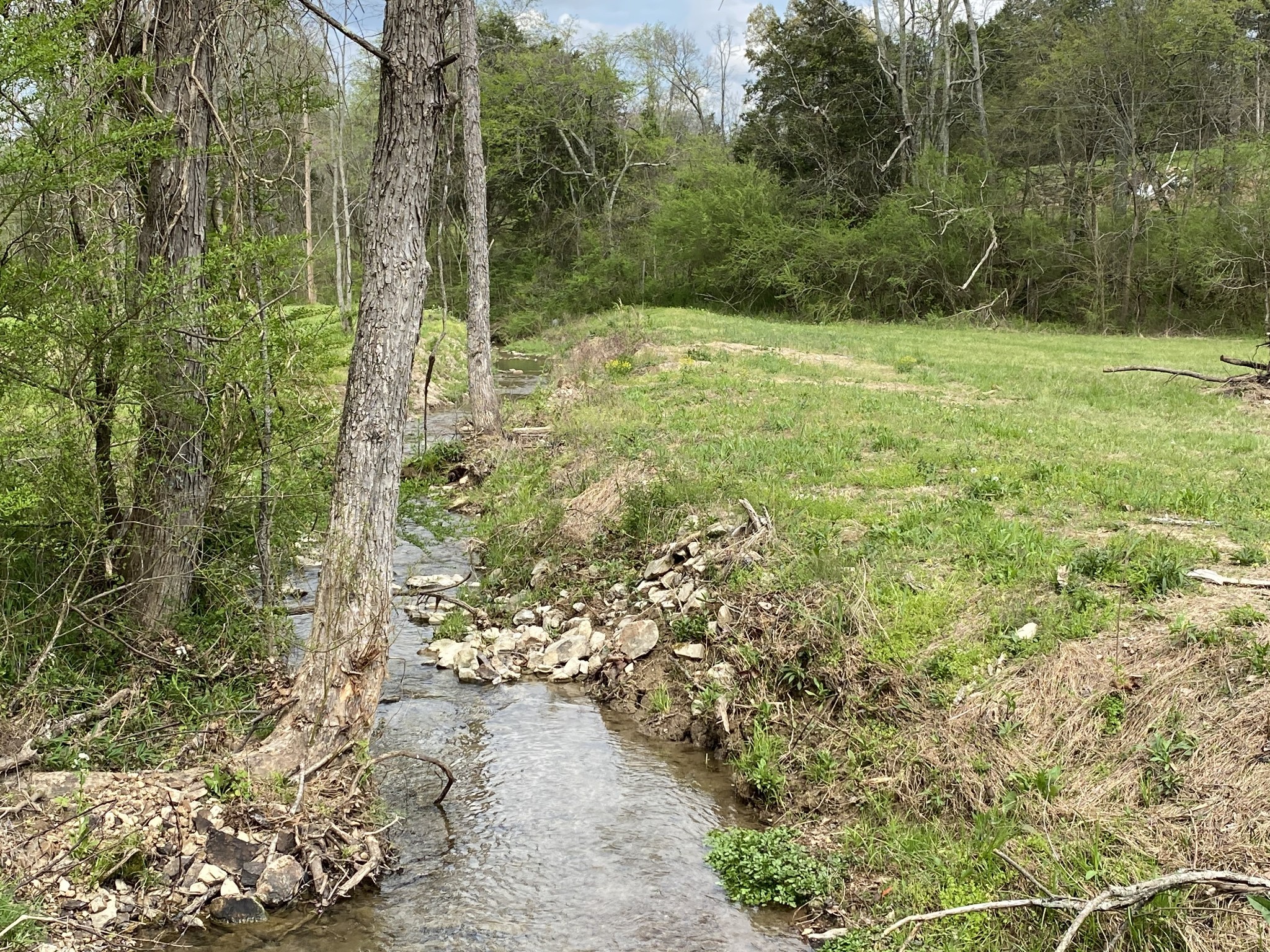 1495 Columbia Road Charlotte, TN 37036 - Photo 41 of 50 a view of outdoor space and garden