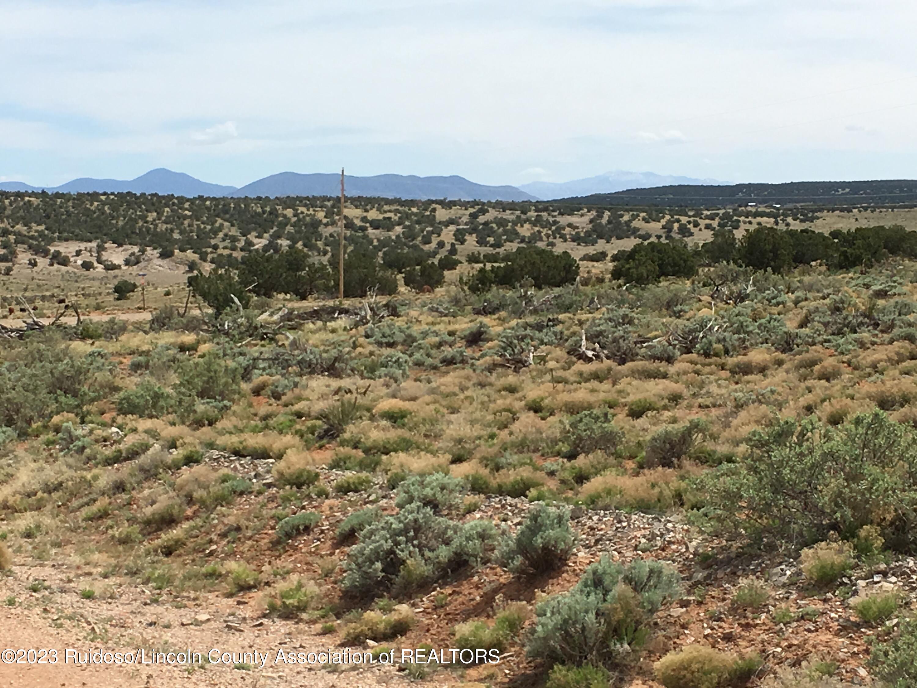 69 Fenceline Road Carrizozo, NM 88301 - Photo 5 of 6 Gallery Image 5