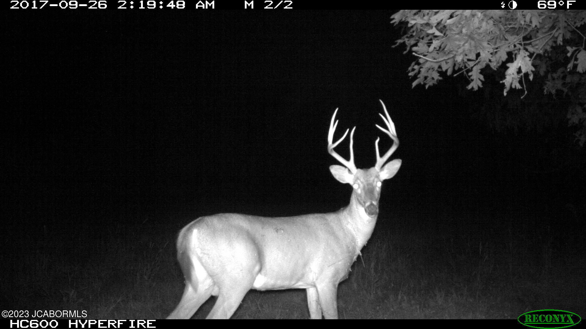 Tbd Big Lick Road Boonville, MO 65233 - Photo 50 of 59