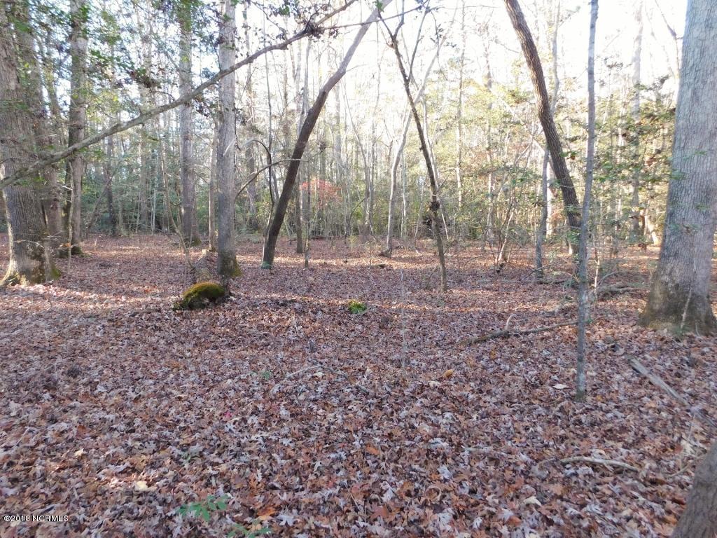 26.89 Bynum Farm Road Pinetops, NC 27864 - Photo 29 of 43 29 (1024x768)