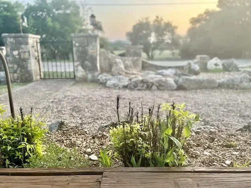 a view of a yard with wooden fence