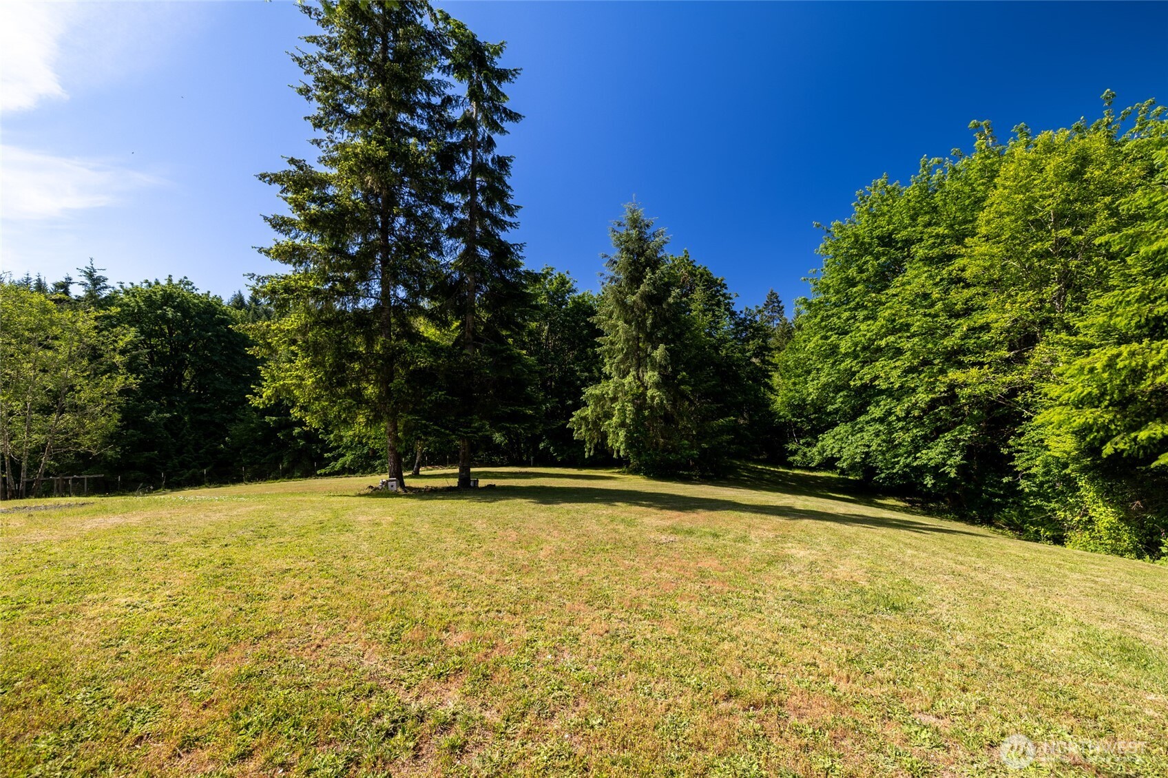 465-33 Sargent Road Winlock, WA 98596 - Photo 11 of 40