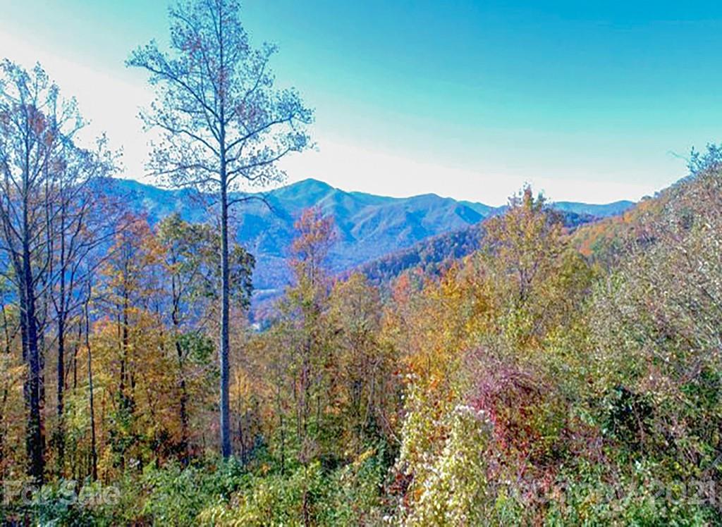 0 Big Boulder Ridge Maggie Valley, NC 28751 - Photo 1 of 14 Gallery Image 1