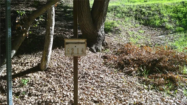 a view of a garden with a tree