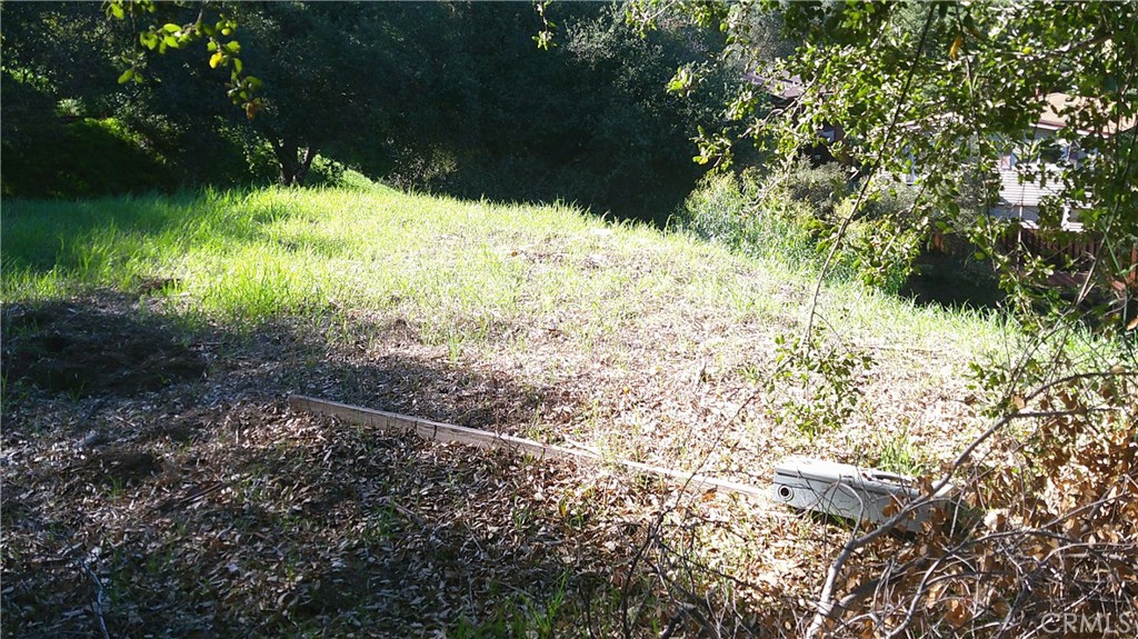 4214 Elzevir Road Woodland Hills, CA 91364 - Photo 11 of 14 a view of a yard with a tree