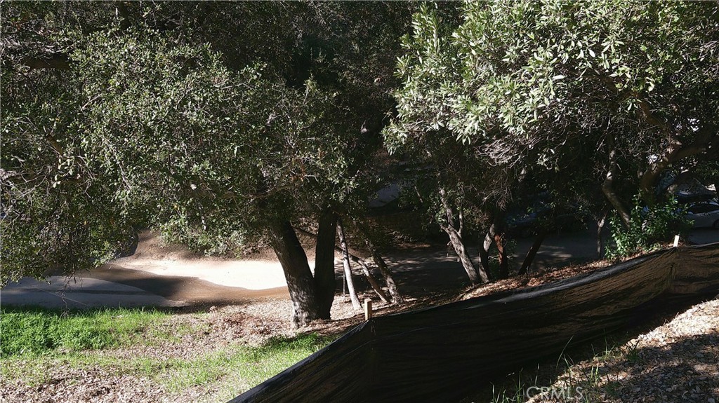 4214 Elzevir Road Woodland Hills, CA 91364 - Photo 13 of 14 a view of a yard