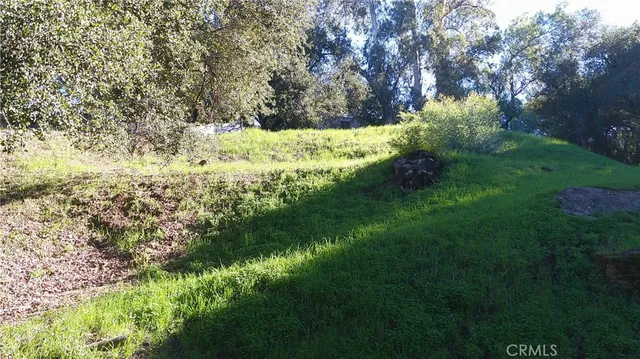 a view of a yard covered in snow