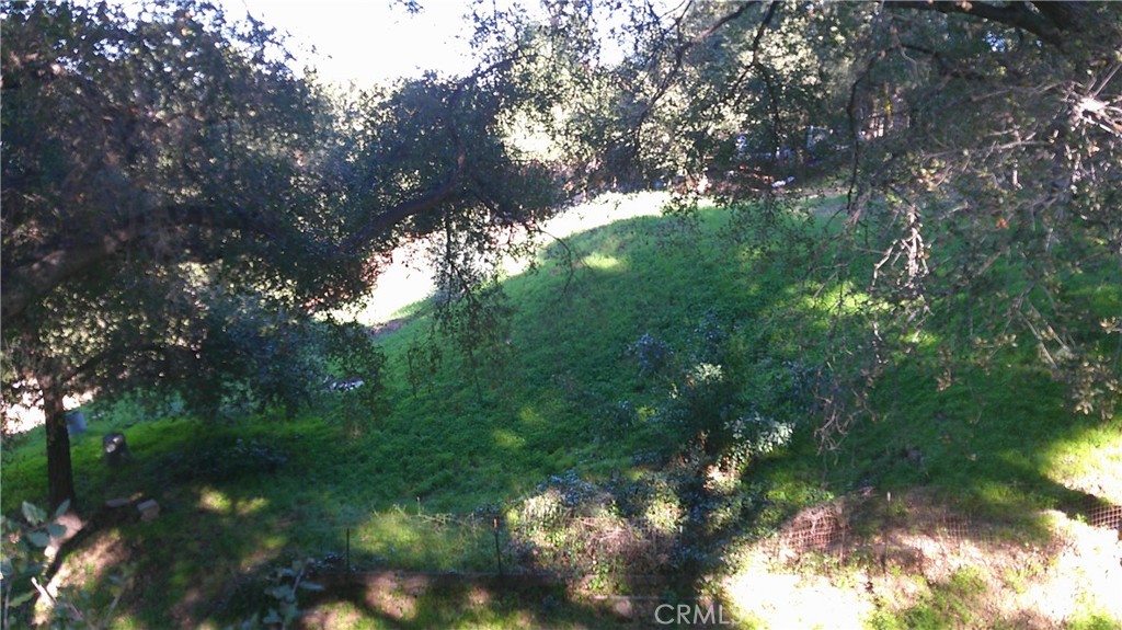 4214 Elzevir Road Woodland Hills, CA 91364 - Photo 6 of 14 a view of a tree