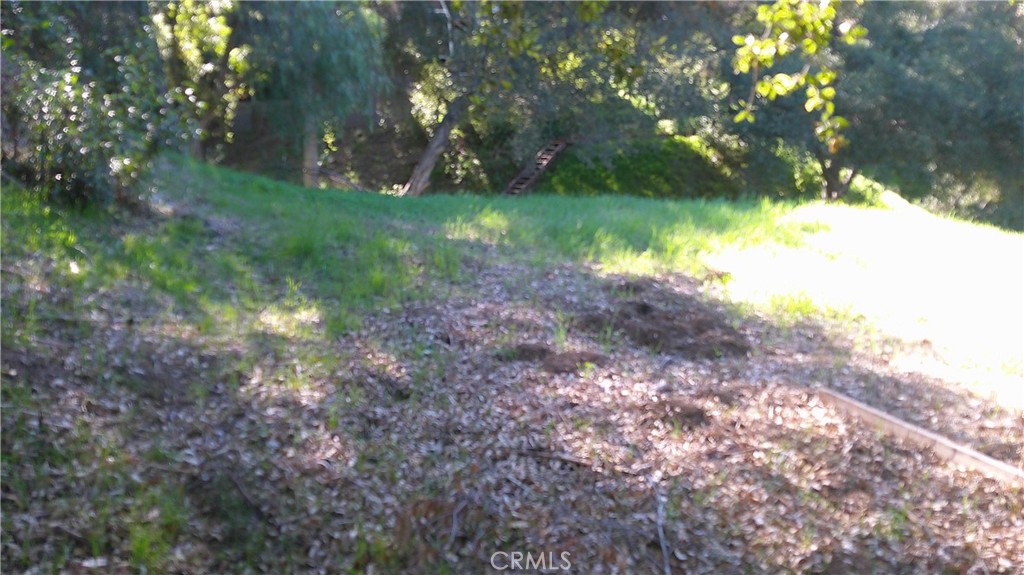4214 Elzevir Road Woodland Hills, CA 91364 - Photo 10 of 14 a view of backyard with green space