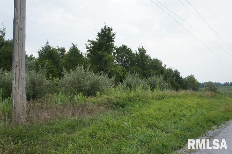 0 Indian Point Road Vienna, IL 62995 - Photo 4 of 11