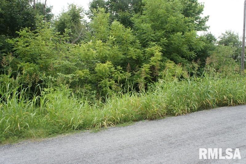 0 Indian Point Road Vienna, IL 62995 - Photo 7 of 11