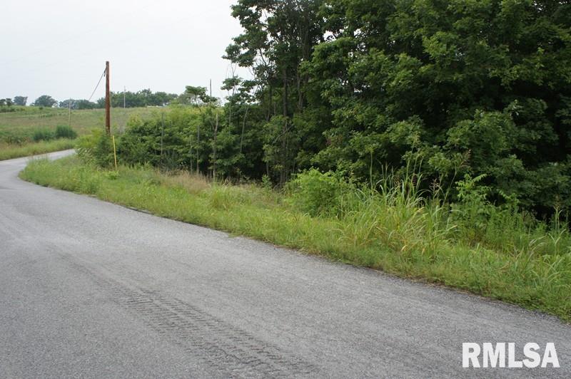 0 Indian Point Road Vienna, IL 62995 - Photo 8 of 11