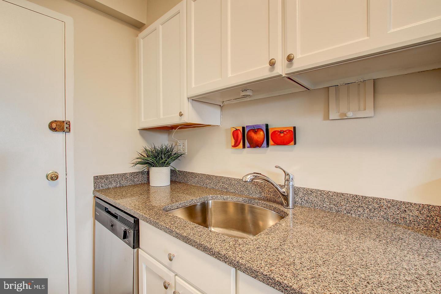 4201 Cathedral Avenue Northwest, Unit 1223E Washington, DC 20016 - Photo 7 of 26 a kitchen with a sink and cabinets