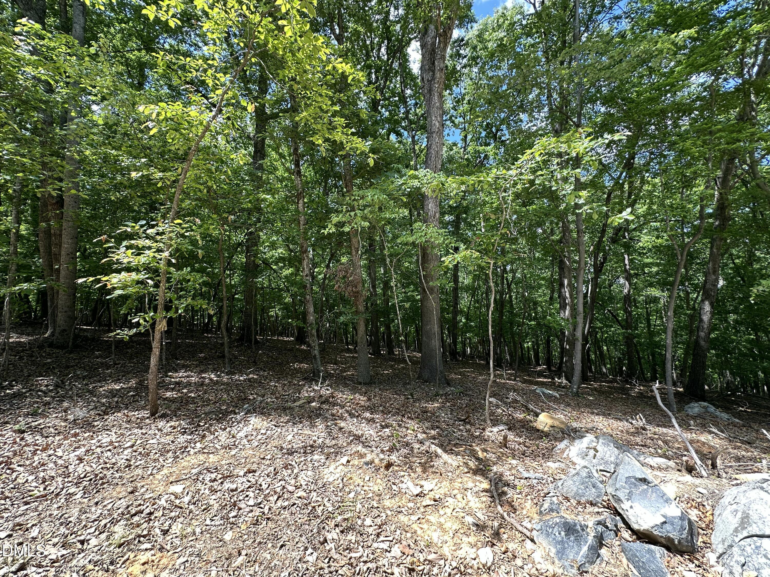 33 Fire Tower Drive Rougemont, NC 27572 - Photo 3 of 5 a backyard of a house with lots of trees