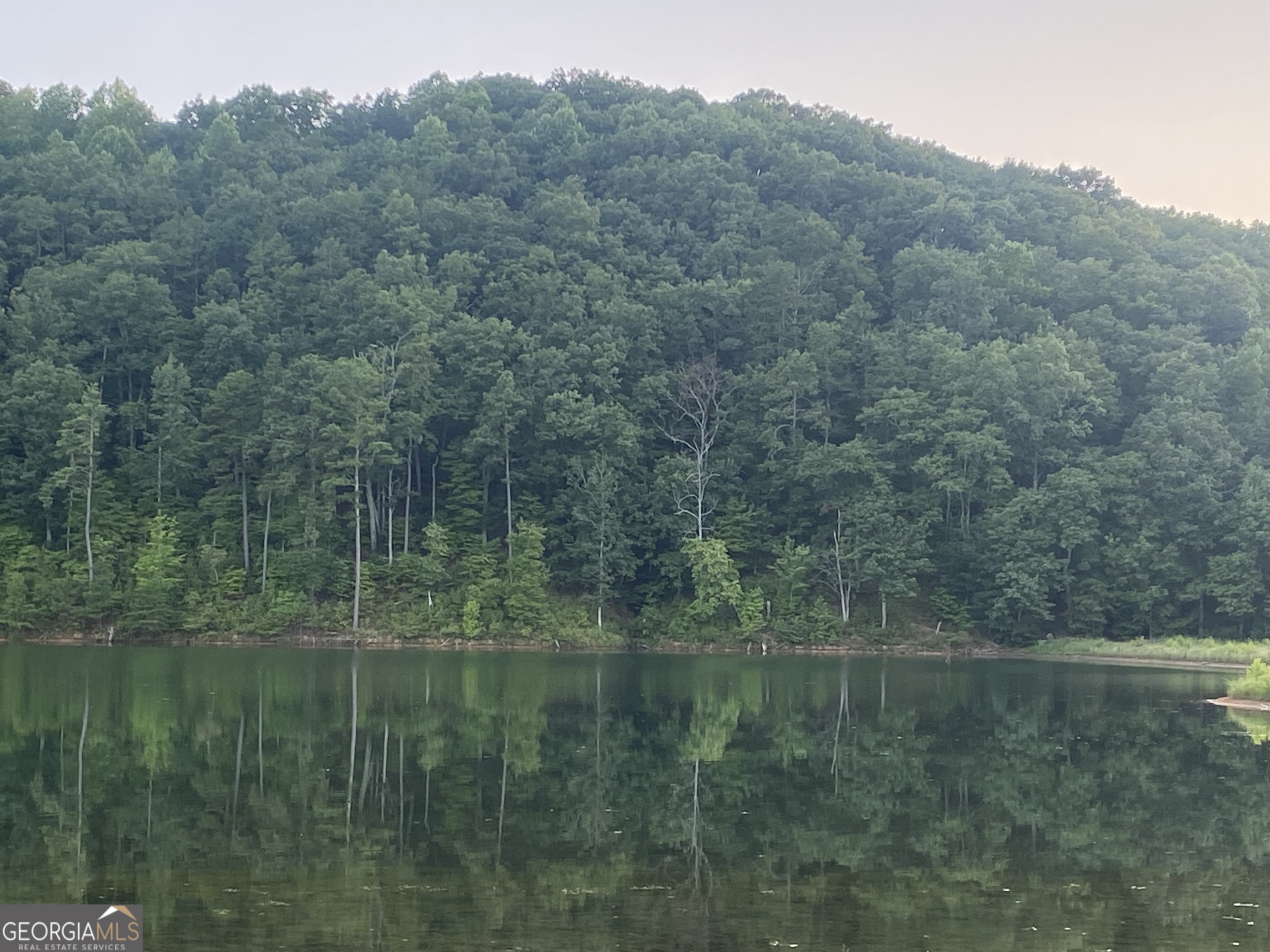 1322 Hunter Drive Ranger, GA 30734 - Photo 30 of 38 a view of a lake in middle of forest