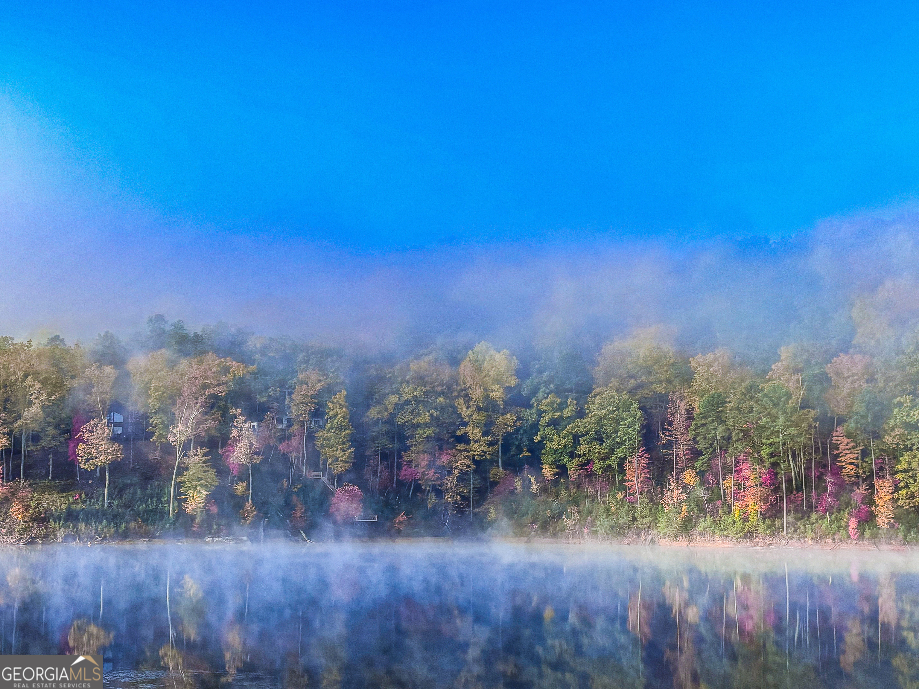 1322 Hunter Drive Ranger, GA 30734 - Photo 33 of 38 a view of a yard with a tree