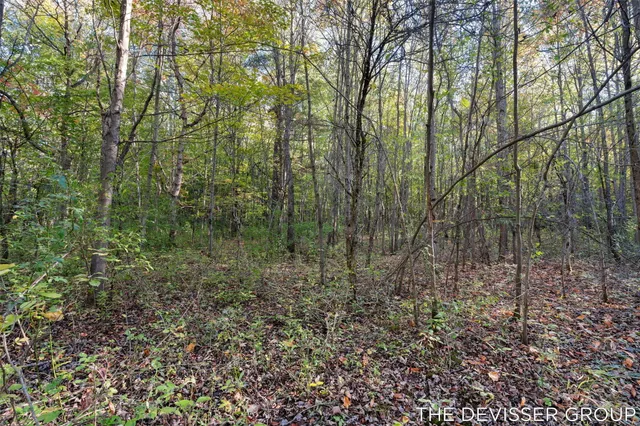 $400,000 | Vl 61-acres Vl 61-acres 34th Allegan Mi 49010, Allegan, MI 49010