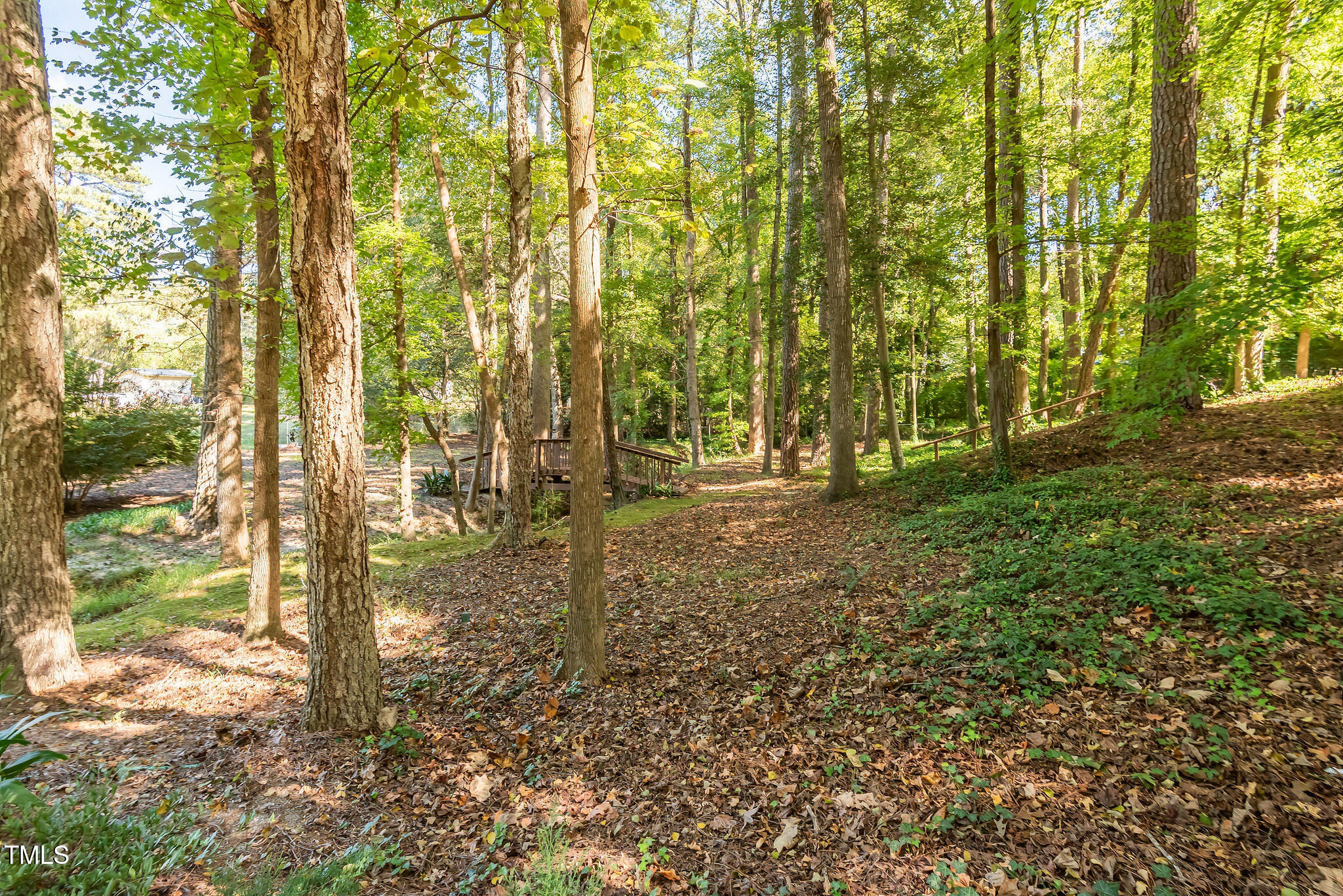 3410 Oates Drive Raleigh, NC 27604 - Photo 5 of 5 a view of outdoor space with trees