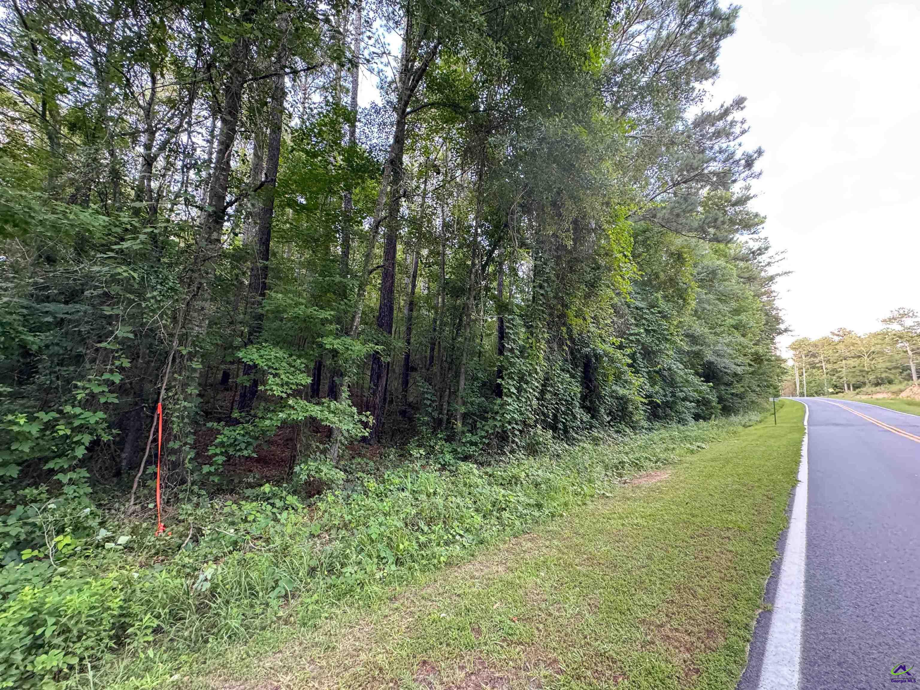 12.6-acres Hicks Road Roberta, GA 31078 - Photo 4 of 17